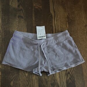 Brandy Melville Purple/ Gray Shorts